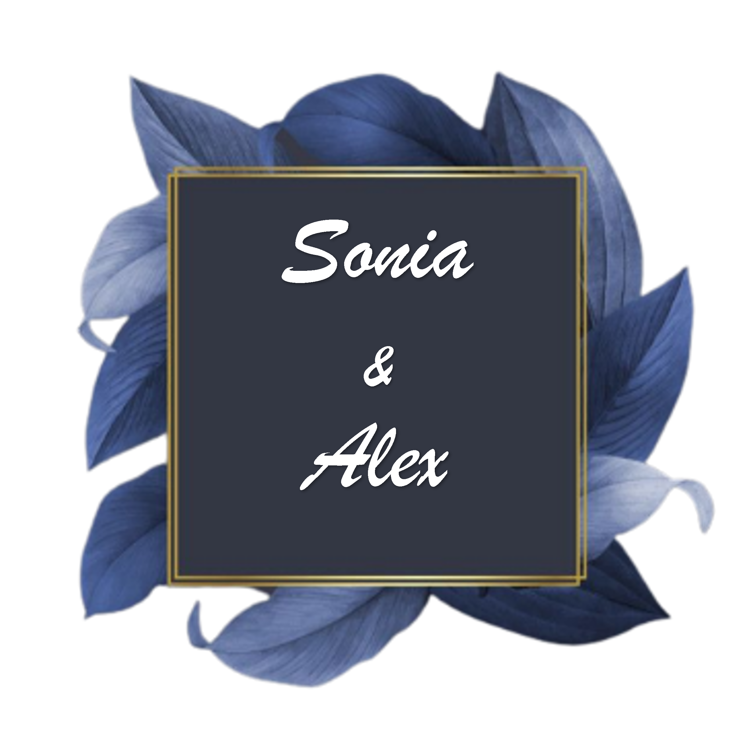 Sonia & Alex (1)